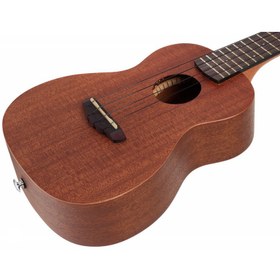 تصویر IBANEZ UKC100 CONCERT UKULELE – NATURAL 