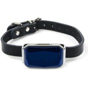 تصویر ردیاب حیوانات OGuard-GPS مدل G12P 