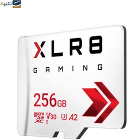 تصویر کارت حافظه MicroSDXC پی ان وای مدل XLR8 Gaming کلاس 10 V30 ظرفیت 256 گیگابایت PNY XLR8 Gaming MicroSDXC V30 Flash Card - 256GB