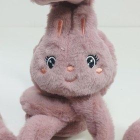 تصویر گوشگیر خرگوشی پمپی 