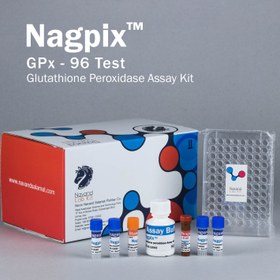 تصویر کیت سنجش فعالیت آنزیم گلوتاتیون پراکسیداز (GPX) محصول نوند سلامت Glutathione Peroxidase Assay Kit