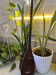 تصویر تنبور یک تکه دست ساز 