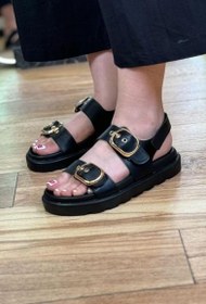 تصویر دو سگک لیدی کد:۶۶۱۷ 