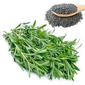 تصویر بذر مرزه 