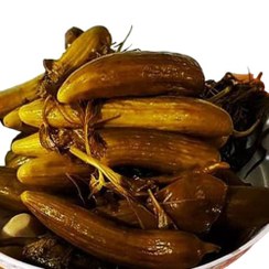 تصویر خیارشور خانگی اقتصادی 