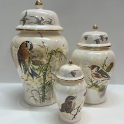 تصویر جینجر جار پرنده و نیزار 