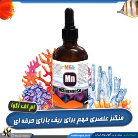 تصویر محلول منگنز آکواریوم آب شور ام اف آکوا MF aqua Purple Max 250ml