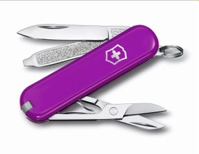 تصویر ابزار چند کاره ویتورینوکس مدل TASTY GRAPE رفرنس 0.6223.52G TASTY GRAPE 0.6223.52G Victorinox product