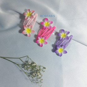 تصویر تق تقی پلومریا تک عددی - بنفش 