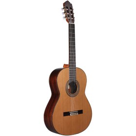 تصویر گیتار آلتامیرا Guitar Altamira N400+Case 