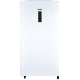 تصویر فریزر 9 فوت ایستکول مدل 2999 Freezer 2959