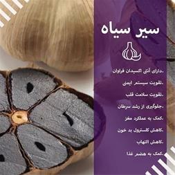 تصویر سیر سیاه بیز 