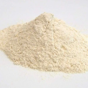 تصویر فروشگاه گون استور