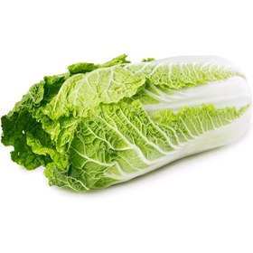 تصویر کاهو چینی Chinese lettuce