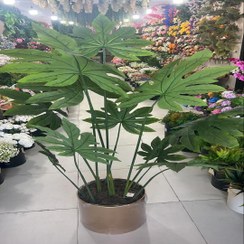 تصویر درختچه مصنوعی برگ آمریکایی 