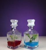 تصویر گلشیشه عطری (2 عددی) 