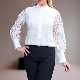 تصویر شومیز مجلسی هانیس کد ۱۰۲۰۹ 