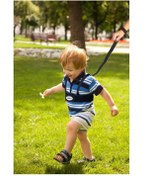 تصویر هارنس ضد گم شدن کودک ( تحویل 14 روزه) Baby anti-lost leash