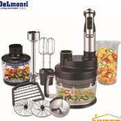 تصویر گوشت کوب برقی دلمونتی مدل DELMONTI DL395 DELMONTI HAND BLENDER DL395