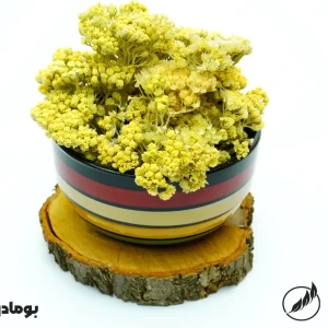 تصویر فروشگاه سالم فودز