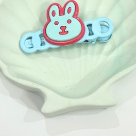 تصویر گیره سر میو 