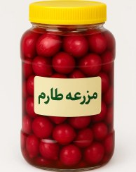 تصویر ترشی پیاز ریز 100% اورگانیک 