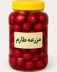 تصویر ترشی پیاز ریز 100% اورگانیک 