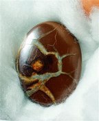 تصویر نگین سپتارین یا حجرالجن اصل مصور و فعال 