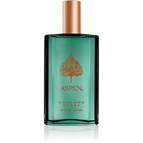 تصویر ادوکلن آسپن مردانه مدل کوتی حجم۱۱۸میل | Coty Aspen For Men