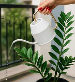 تصویر آبپاش فلزی ایکیا - مشکی Ikea Apache