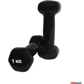 تصویر دمبل ایروبیک رکورد ۱ کیلوگرم بسته ۲ عددی 