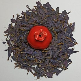 تصویر گل گاو زبان 