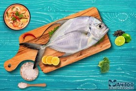 تصویر ماهی حلوا بندري 