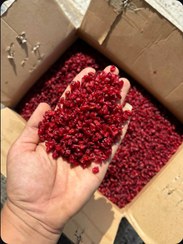 تصویر زرشک اناری سرخ - ۱ کیلو 