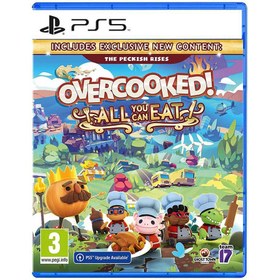 تصویر Game Overcooked! All You Can Eat For PlayStation 5 (PS5) بازی آخر آشپزی همه شما می تونید بخورید برای پلی استیشن 5