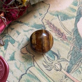 تصویر چشم ببر ۰۴ 