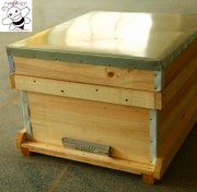 تصویر کندو زنبور عسل معمولی 