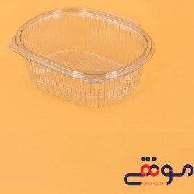 تصویر ظرف یونیک500(تعداد درکارتن500) 