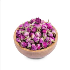 تصویر غنچه گل محمدی 