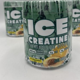 تصویر کراتین آیس 300 گرم اف آ fa ice creatine 300g