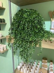 تصویر آویز شمشاد سبز 