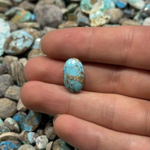 تصویر فروشگاه فیروزه خاتمی