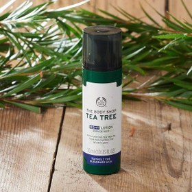 تصویر لوسیون شب بادی شاپ Tea Tree The Body Shop Tea Tree Night Lotion