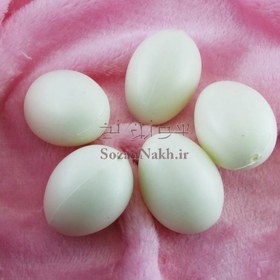 تصویر تخم مرغ پلاستیکی 