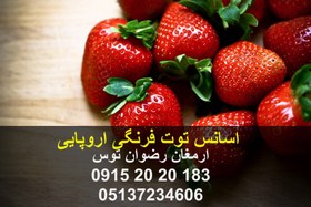 تصویر اسانس توت فرنگی اروپایی 