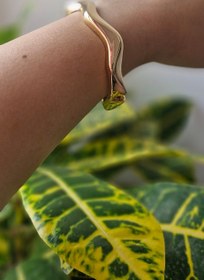 تصویر بنگل استیل طرح موج 