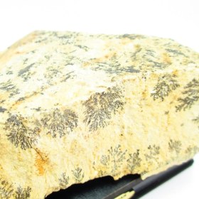 تصویر سنگ شجر فسیلی (دندریتی ) کد 2569 