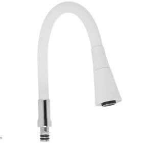 تصویر علم شیر مدل سرشیر 