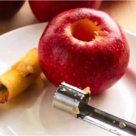 تصویر هسته گیرسیب استیل 