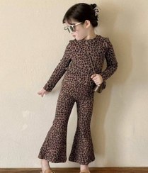 تصویر ست جگوار 